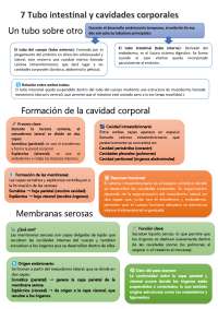 CAVIDADES CORPORALES LAGMAN
