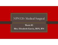 Respiratory PowerPoint