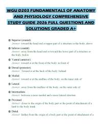 WGU D203 FUNDAMENTALS OF ANATOMY AND PHYSIOLOGY COMPREHENSIVE STUDY GUIDE 2026 FULL QUESTI