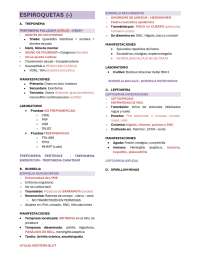 Bacterias resumen estructurado