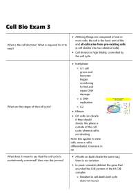 Cell Bio Exam 3 Questions And Answers 2026 Update!!!