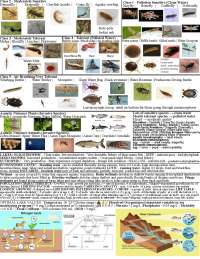 Water Quality Cheat Sheet