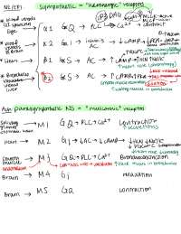 system receptor pathways