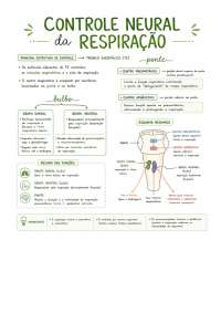 CONTROLE NEURAL DA RESPIRAÇÃO