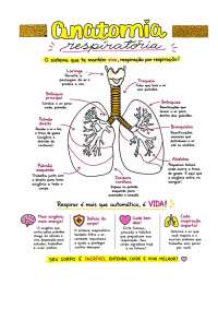 ANATOMIA RESPIRATÓRIA