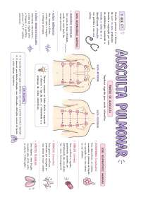 - AUSCULTA PULMONAR -