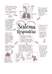 SISTEMA RESPIRATÓRIO