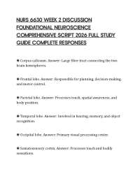 NURS 6630 WEEK 2 DISCUSSION FOUNDATIONAL NEUROSCIENCE COMPREHENSIVE SCRIPT 2026 FULL STUDY