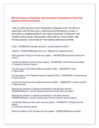 BIO 210 Anatomy & Physiology Nervous System Comprehensive questions and answers