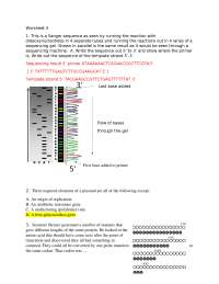 Genetics Martin Poeine 2026 worksheet 4 KEY