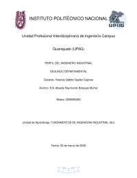 IPN UPIIG PERFIL DEL ING INDUSTRIAL