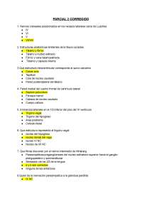 Repaso de contenido nervioso