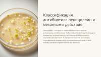 Antibiotics, penicillin