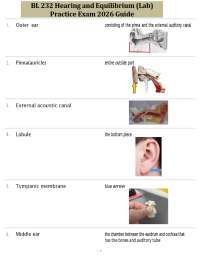 BL 232 Hearing and Equilibrium (Lab) Practice Exam 2026 Guide