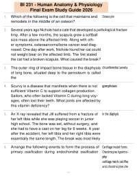 BI 231 - Human Anatomy & Physiology Final Exam Study Guide 2026