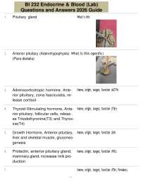 BI 232 Endocrine & Blood (Lab) Questions and Answers 2026 Guide