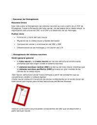 Histogenesis histologia