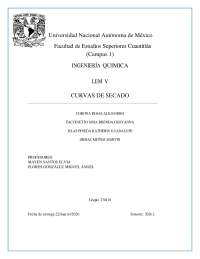 Reporte: Curvas de secado LEM V