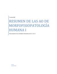 Resumen de MFP 1. 2 año
