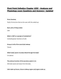 Pivot Point Esthetics Chapter 105E - Anatomy and Physiology exam Questions and Answers