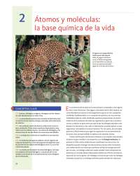 biologia celular de solomon