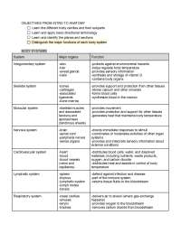 Final Anatomy Study Guide