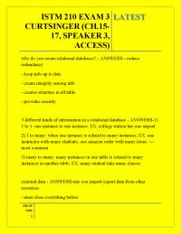 ISTM 210 EXAM 3 CURTSINGER (CH.15- 17, SPEAKER 3, ACCESS) LATEST