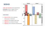 Sodio (Hipo e Hipernatremia)