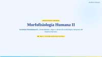 Morfofisiologia humana