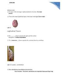 BUS203: PRINCIPLES OF MARKETING - SAYLOR DIRECT CREDIT FINAL EXAM