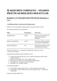 Esquematizacion de biología molecular practicas
