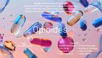 opioides, todo relacionado con ellos