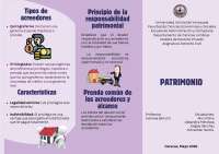 Patrimonio es el conjunto de bienes obligaciones y derechos