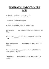 GLOWACKI AND SOMMERS RCIS ,GLOWACKI AND SOMMERS RCIS