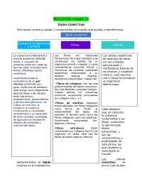 Histología, tejido conectivo