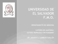 Aparato reproductor femenino