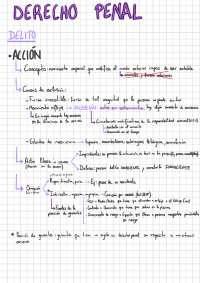 ESQUEMA DERECHO PENAL