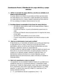 previo 2, electricidad y magnetismo