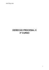 Apuntes completos derecho procesal II