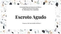 Escroto Agudo Presentación