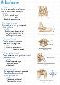 Diferentes tipos de articulaciones