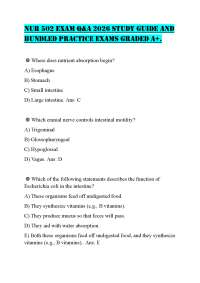 NUR 502 EXAM Q&A 2026 STUDY GUIDE AND BUNDLED PRACTICE EXAMS GRADED A+.