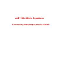 ANP1106 midterm 2 questions Human Anatomy and Physiology II (University of Ottawa)