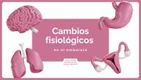 Cambios fisiológicos del embarazo
