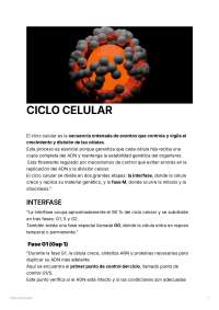 RESUMEN DEL CICLO CELULAR