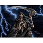 undertaker88