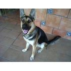 valery_-494