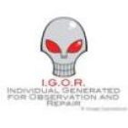 igor-araujo-11