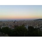 mireia78