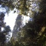 phoenix1402-avatar